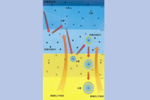 這是一張說明冰雹產生的圖，圖中呈現出雲裡的強氣流將雨滴往上送，雨滴在高處凍結成冰丸並降下至地面。