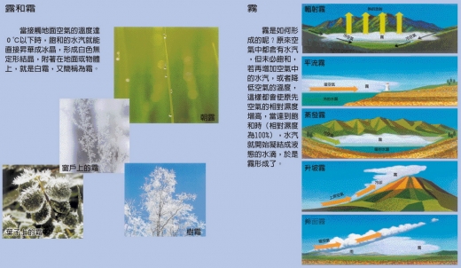 這是一張說明露、霜和霧的圖，左方區塊呈現的是露和霜附著在０°Ｃ以下地面或物體上的白霜圖，右方區塊呈現空氣的相對溼度增高並達到飽和時，霧就形成的示意圖。