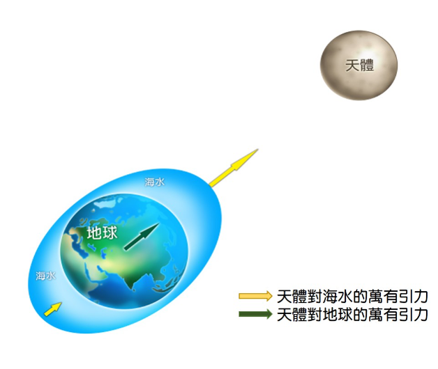 這張圖片為潮汐成因的簡介，說明了潮汐是由天體對海水與地球各處引力不同所造成的水位週期性升降現象。